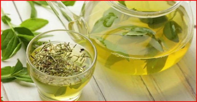 Como tomar Chá Verde para QUEIMAR gordura e emagrecer: veja quantidade certa