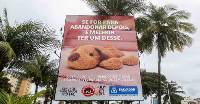 Campanha mobiliza população contra abandono de animais