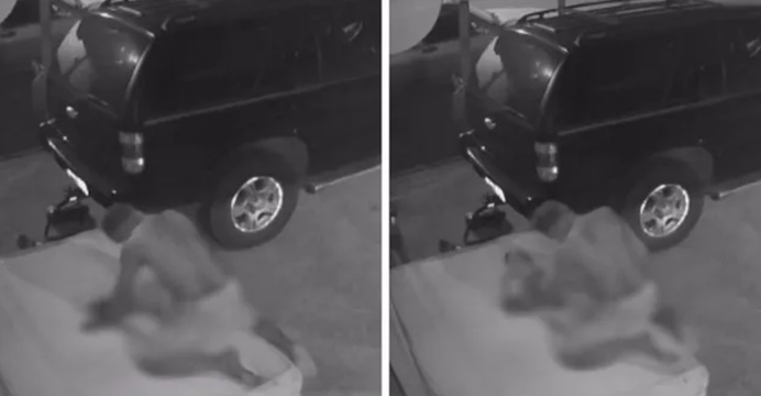 Cadela é abusada sexualmente por um homem em Salvador; veja vídeo