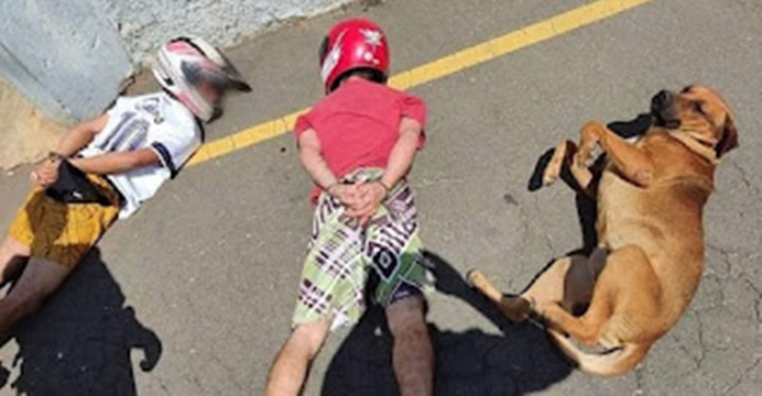 Cachorro caramelo deita ao lado de suspeitos durante abordagem policial; foto viraliza
