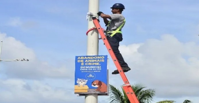 Câmeras de alta resolução são instaladas em Piatã para coibir abandono animal