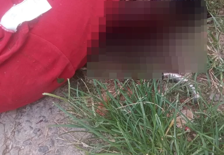 Homem é morto com tiros na cabeça no Subúrbio de Salvador
