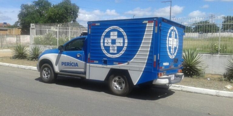 Menina de 8 anos é encontrada morta; mãe é suspeita do crime