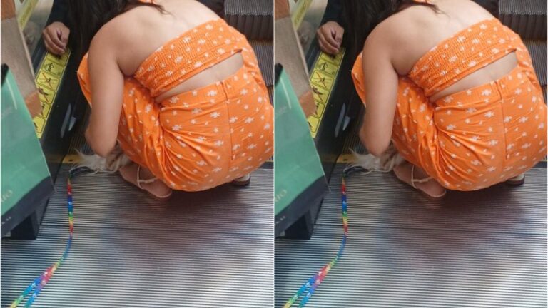 Cachorro fica com a pata presa em escada rolante de shopping em Salvador