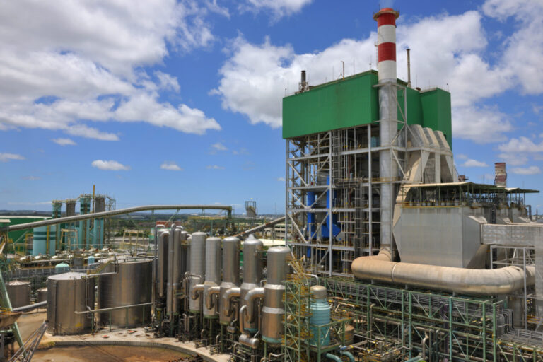 Bracell abre novas vagas de emprego e estágio em Camaçari; veja como se candidatar