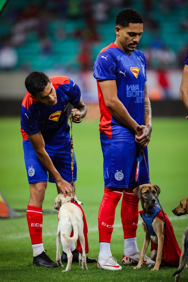 Atletas do Bahia entram em campo com cães vestidos de Superman para campanha de adoção