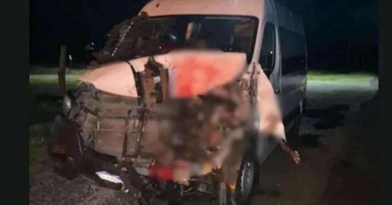 Van com paciente de Utinga colide com cavalo solto na BA-130