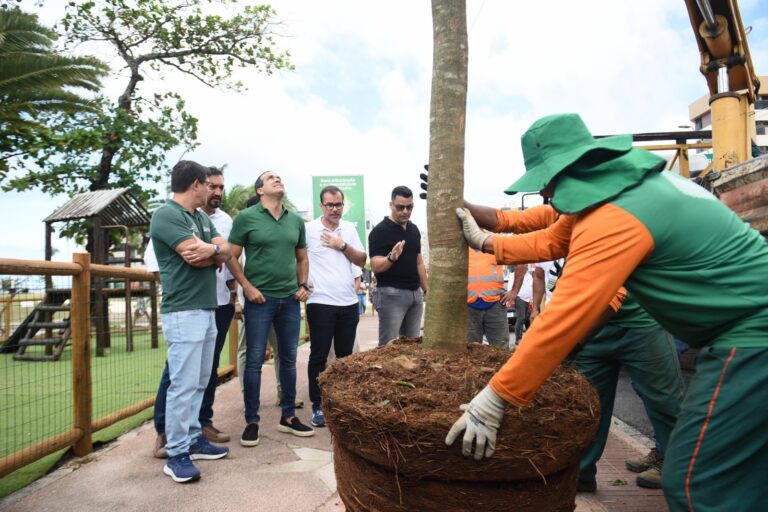 *Corredor Verde: Prefeitura inicia novo programa de arborização em Salvador com plantio de 115 árvores na Av. Manoel Dias*