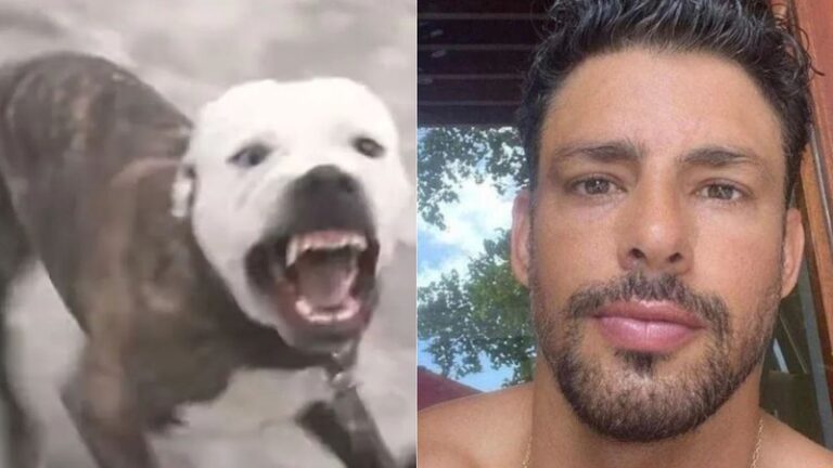 Cantor famoso é condenado após seus pit bulls atacarem Cauã Reyomond; saiba quem
