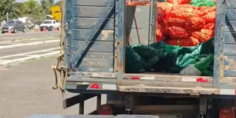 Homem tenta subornar polícia após ser pego com 500 kg de droga na Bahia