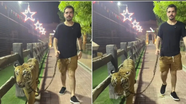 João Silva, filho de Faustão, viraliza ao passear com tigre na coleira em Dubai