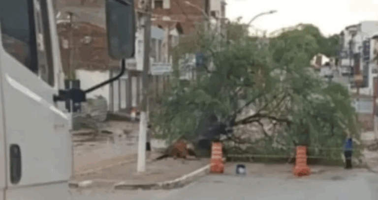Brumado decreta estado de emergência após fortes chuvas