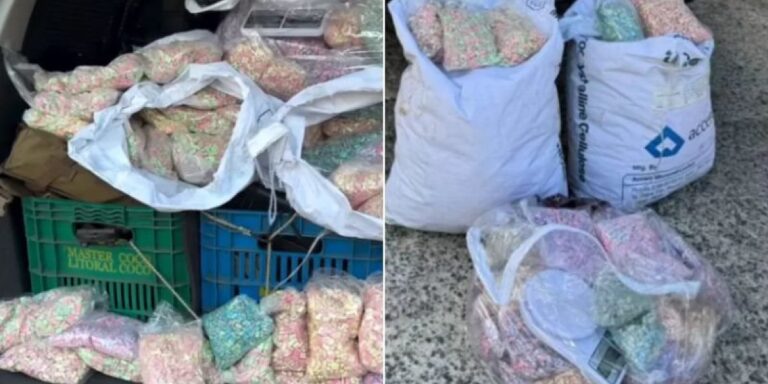 Polícia apreende carga de ecstasy avaliada em R$ 6 milhões que abasteceria carnaval e festas eletrônicas