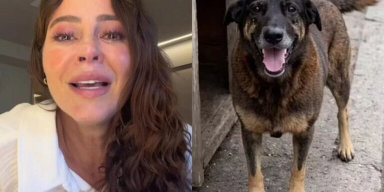 Paolla Oliveira se emociona ao comentar sobre o caso do cão Orelha: “Crueldade”