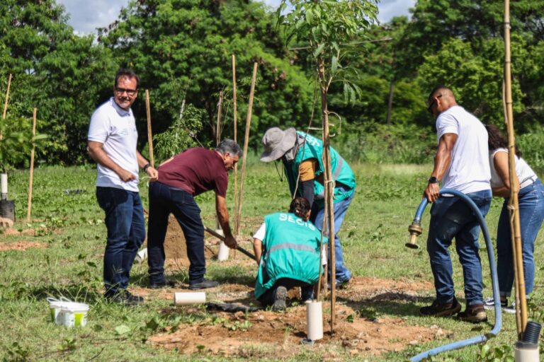 *Prefeitura promove mais uma operação de plantio e chega a 110 mudas na região de São Cristóvão