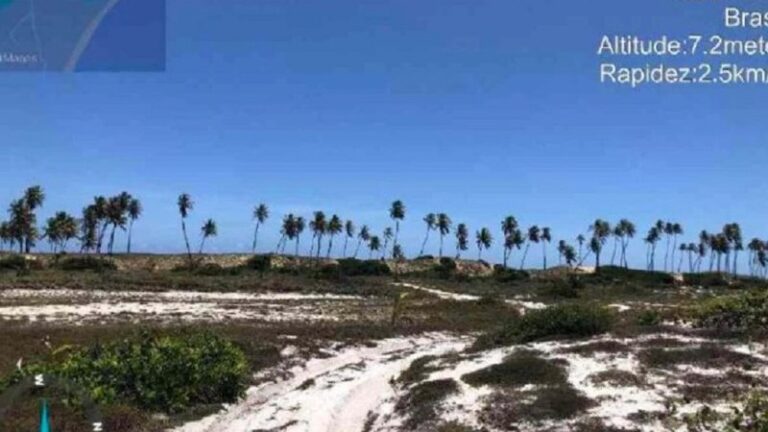 Banco Master deu terreno que não era seu na Bahia como garantia para negócio