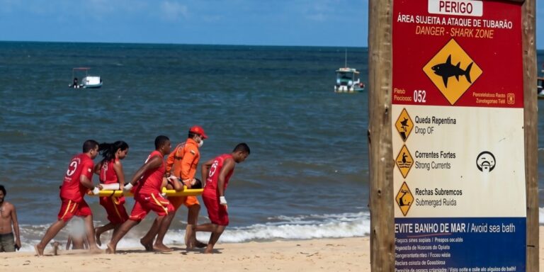 Tubarão morde criança de 11 anos em praia do Grande Recife; veja vídeo