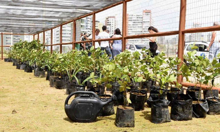 Segundo viveiro de restinga de Salvador é entregue no Jardim de Alah e recebe 515 mudas da Praia do Flamengo*