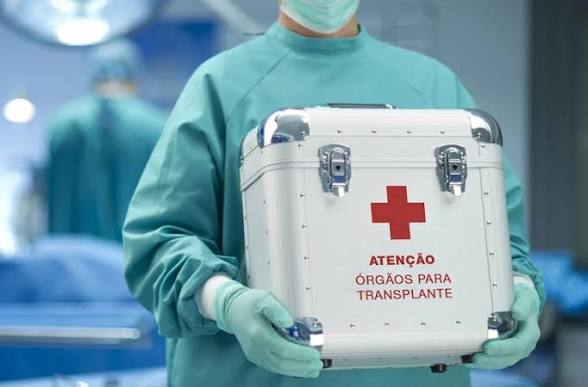Mais de 50 crianças morreram à espera de um transplante em 2025; entenda por que a fila pediátrica é ainda mais difícil